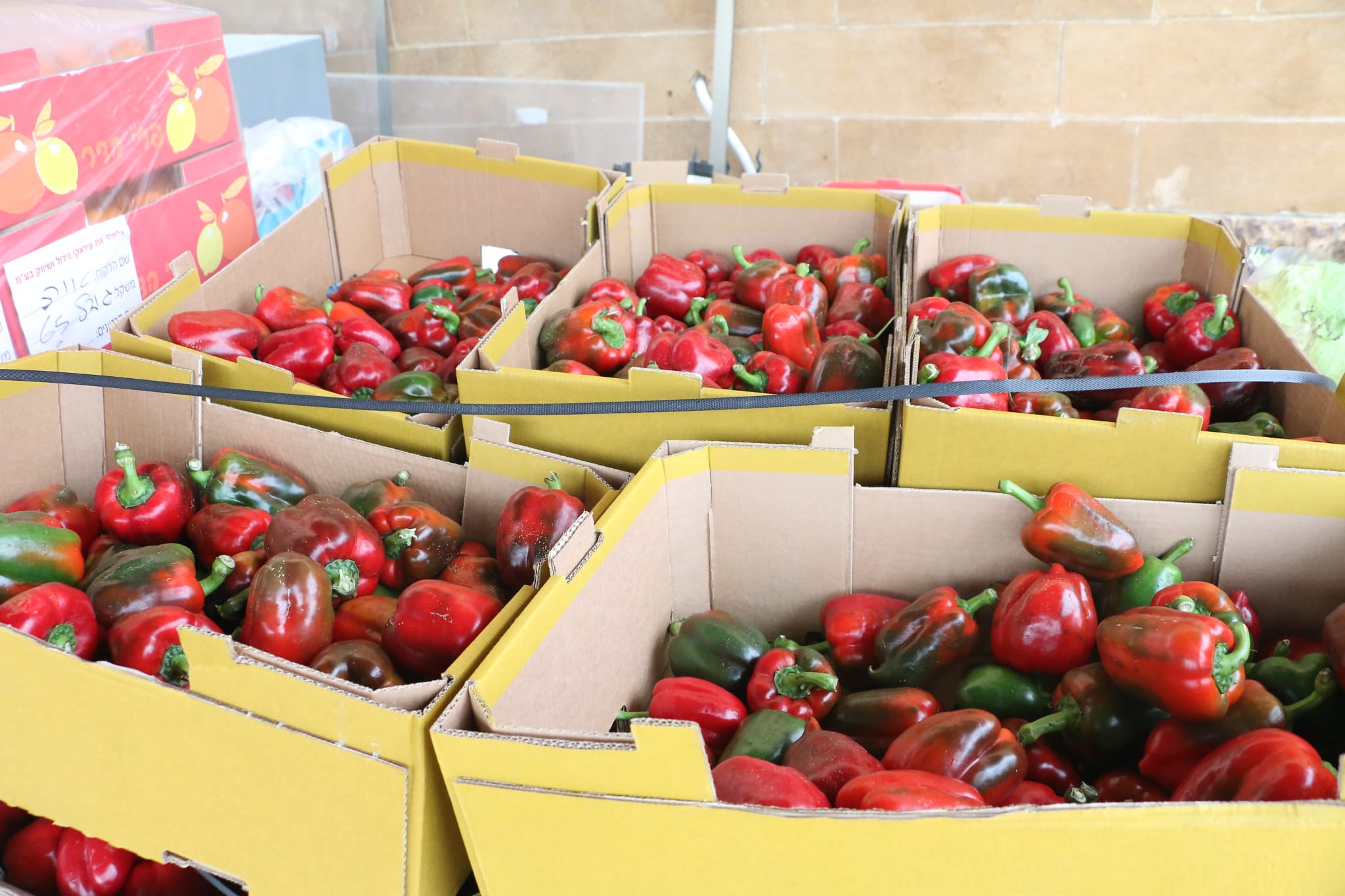 WhatsApp Image 2023-04-11 at 8.33.03 AM.jpeg